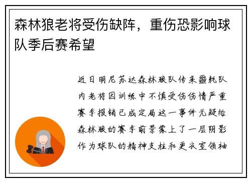 森林狼老将受伤缺阵，重伤恐影响球队季后赛希望