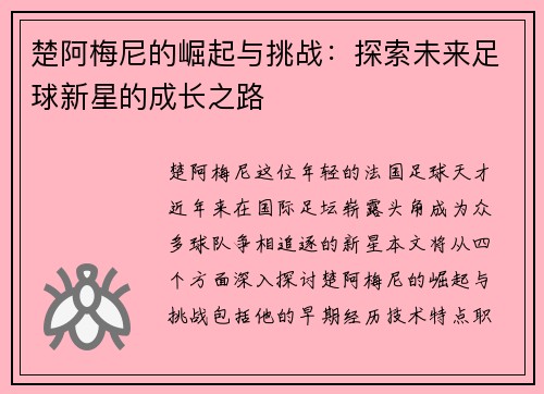 楚阿梅尼的崛起与挑战：探索未来足球新星的成长之路