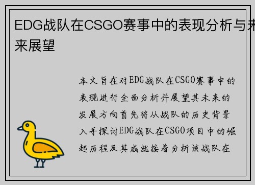 EDG战队在CSGO赛事中的表现分析与未来展望