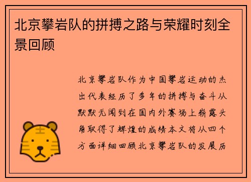 北京攀岩队的拼搏之路与荣耀时刻全景回顾