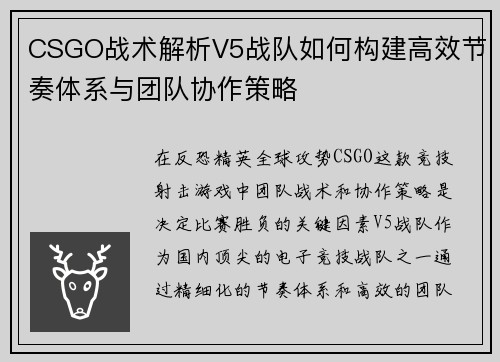 CSGO战术解析V5战队如何构建高效节奏体系与团队协作策略